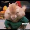 thecatrumphy