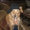 dianaromashko7_