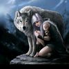 metis_703