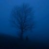 bluenova004