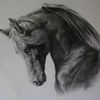 sarz66