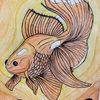 trinsoasis0014