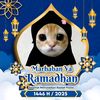 scc_rii8