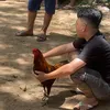 Đức Tân Châu