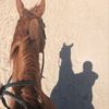 aishamohammed284