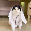 Boodycat