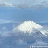 useryouyouyou