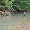 marius_bv_fish