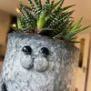 pipandfig__