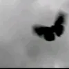 ini_akuncaca