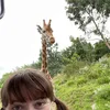 galaxygiraffe