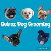 quiroz_dog_grooming