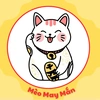 MÈO MAY MẮN 😽😻😺