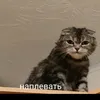 anastasia_chaikovskaya19