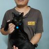 chayen_thepsycocat
