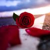 user741903051