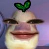 nunthicha14