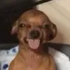trngle.a
