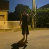 shadows
