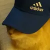 plxix