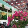 rosetalal8