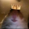 thats_1nsane