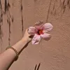 shakiramaroc
