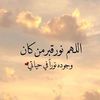 user19zzrl7y9o