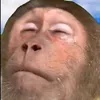 groznyksawerrrry