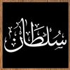 سلطان الشمري