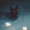 itsnot.simoon