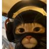 el_aspany