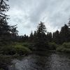wildinweasty
