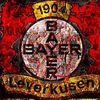 svbayer190_4