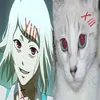 aaswao