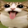 tranuyvu999
