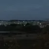 plushka14_