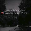 aliwaly43