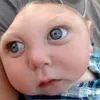 apenas_felps