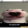 rogeri3048