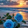 ___wafaa__0