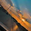 renasduhok0