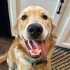 cash__thegolden