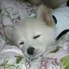 mayuko_0224_