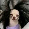 beverlypriv