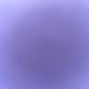 allisoncat77