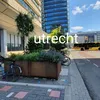 amsterdam20000