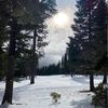 charlie_phelan11