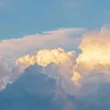 .d3009