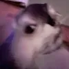 lihapullajaatelo